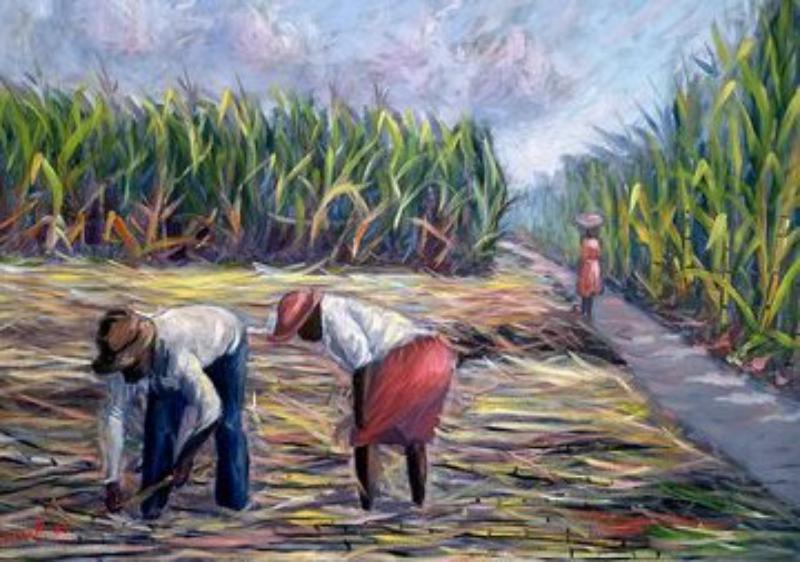 image for The Nature of Slavery  Environment and P