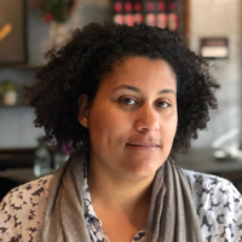 image for Race and Identity in the Visual Culture