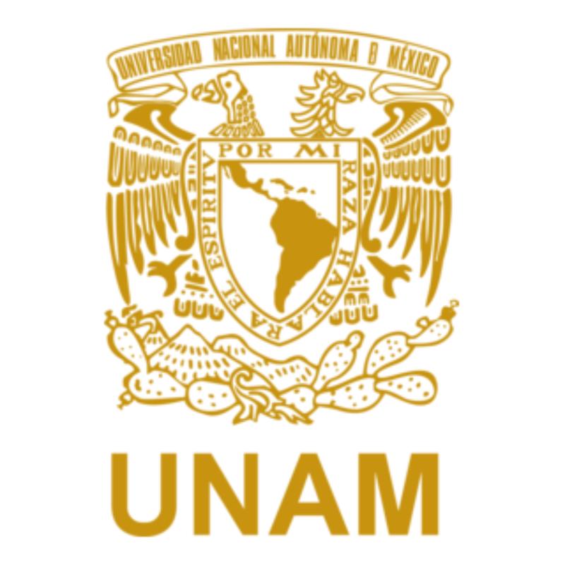 image for Relaciones en la ciudad de Mxico la urbe