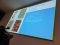 Hemispheric and Transatlantic Archives Workshop: Researching Iberian, Latin American, Caribbean, Latinx Collections