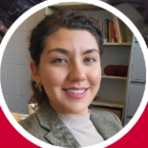 Beyond Destruction War as a Generative Process in the Production of Feminist Political Parties in Turkey and Colombia