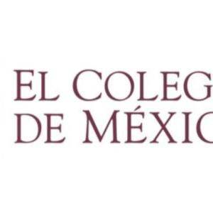 Circuitos económicos transnacionales de los pueblos originarios de México